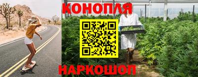 твердый Будённовск