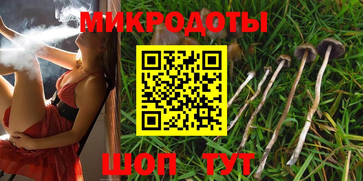 Галлюциногенные грибы мухоморы Псков